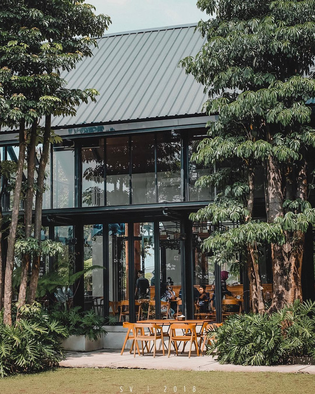 Kafe Kalpa Tree