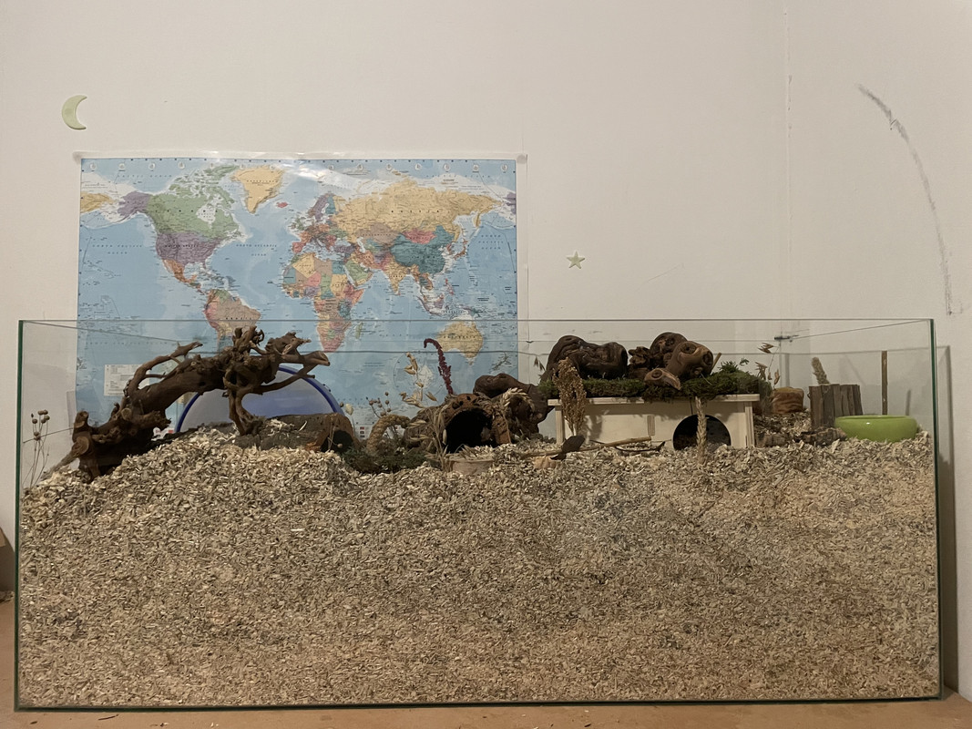 12F3F6E4-DD3A-4018-A763-60535F9ED82E