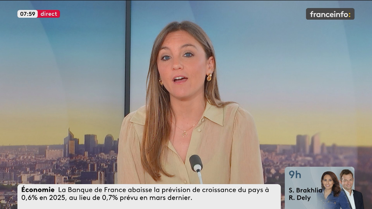 La matinale (Franceinfo)_2025_06_12_06_49_86.ts_snapshot_11.36.992