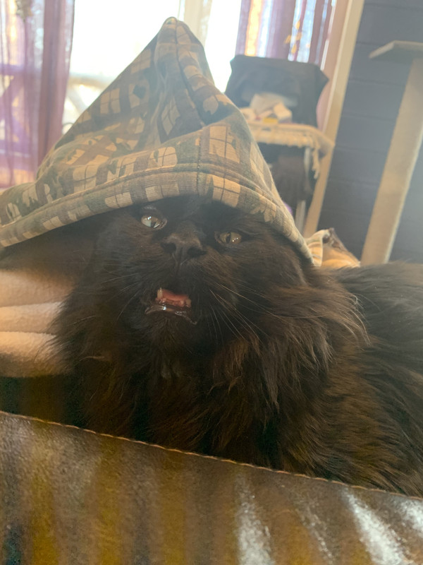 AC9B2CF3-DA11-4501-8FD4-A1FCF0B5409F