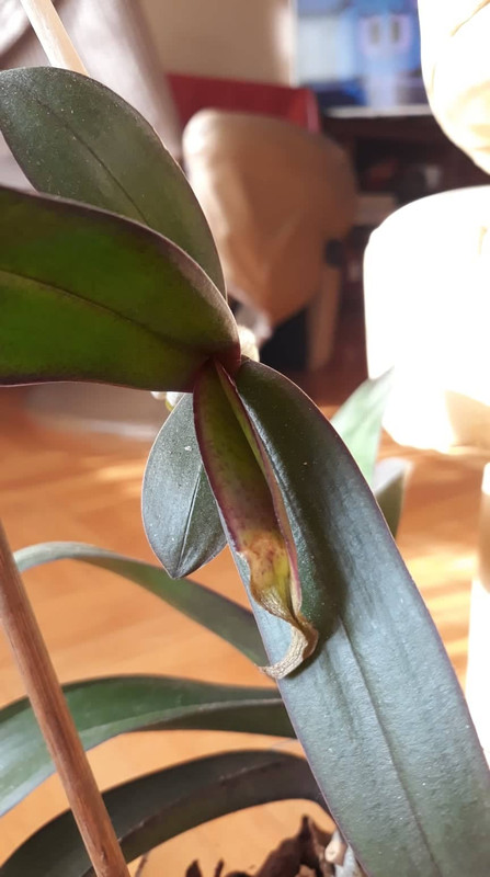 81692917_2784868448214890_6683703491854073856_n