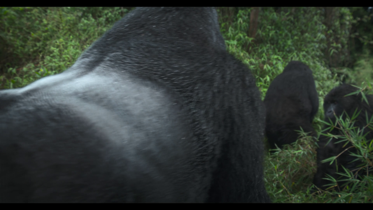 vlcsnap 2026 04 17 10h00m54s173