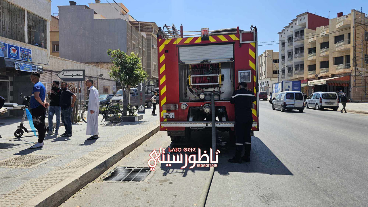 494816816-612522987914650-5334233650780498450-n