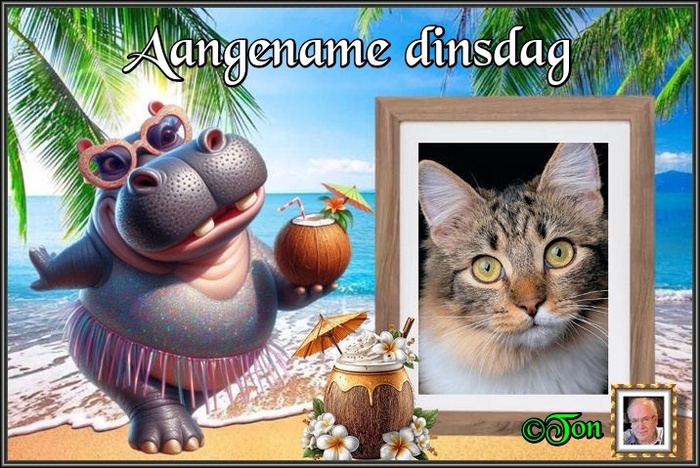www.krabbelplaatjes.com