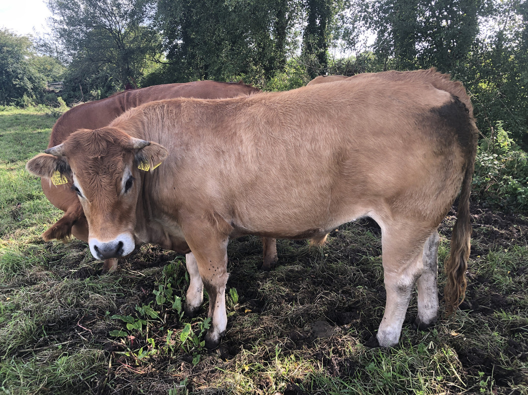 CE3CECC8-CE90-4DE8-90F6-37C64A4FABA0