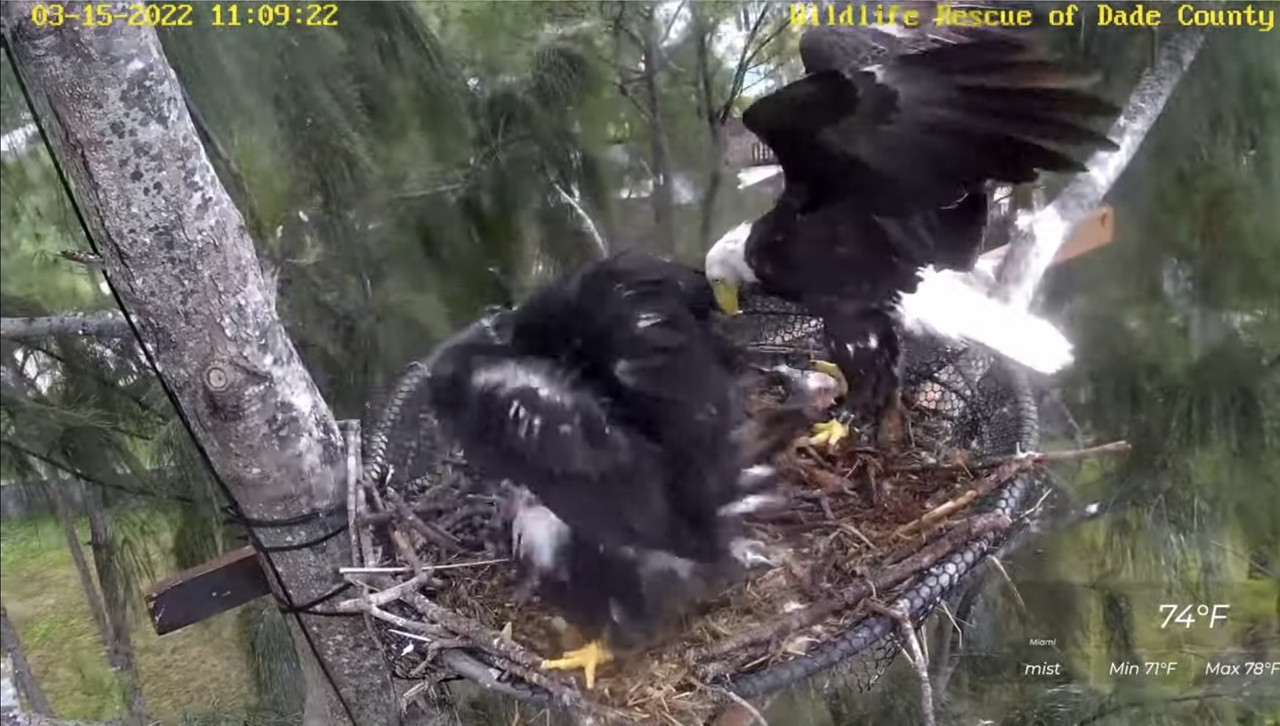 90B6006B-E65C-4B8B-981C-A24A6C08CAFD