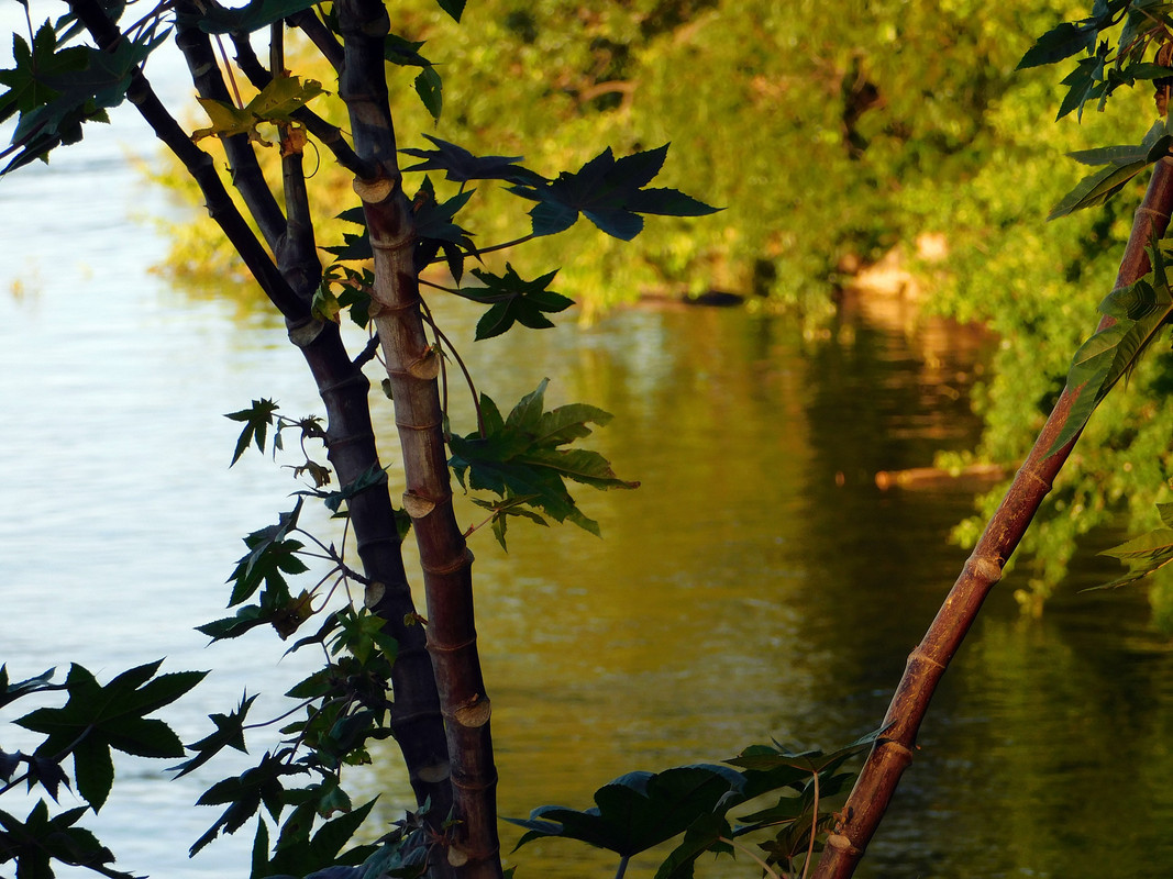 DSCN0354.jpg
