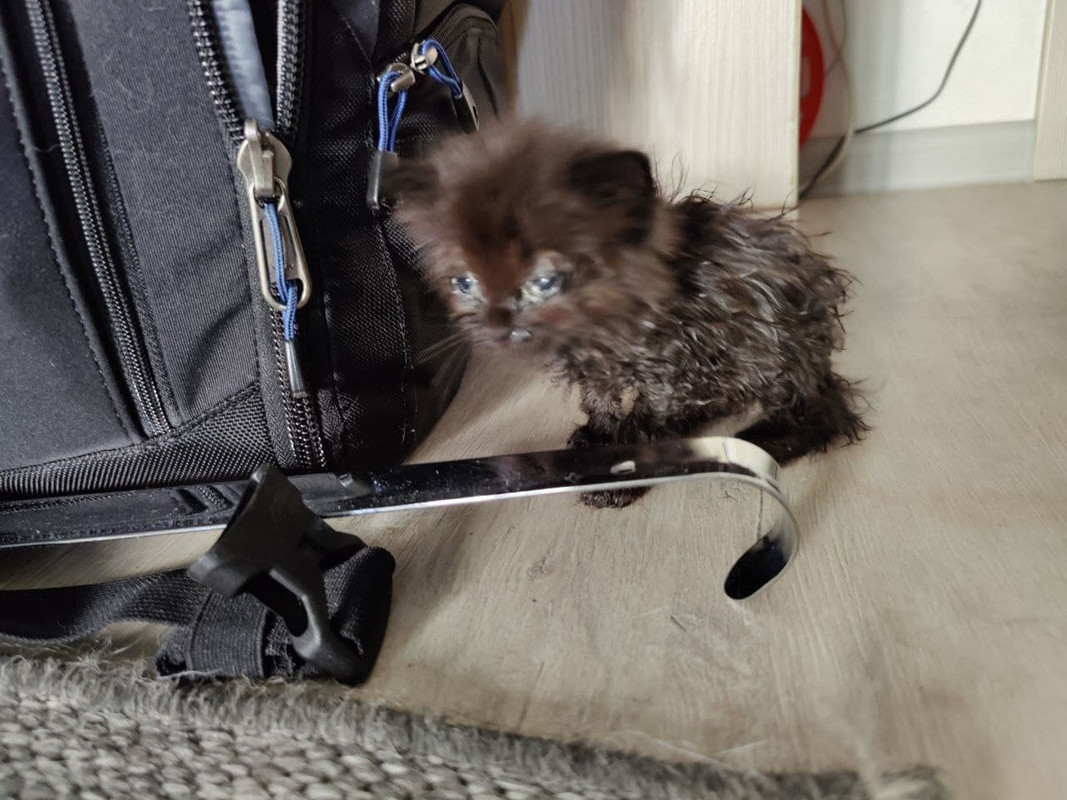 изображение_viber_2021-10-11_16-27-36-715