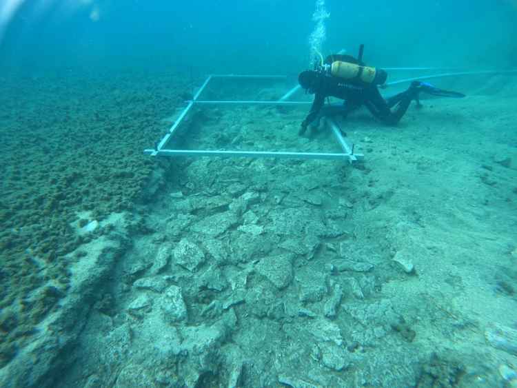 scoperta strada costruita 7 000 anni fa sul fondo del mar mediterraneo
