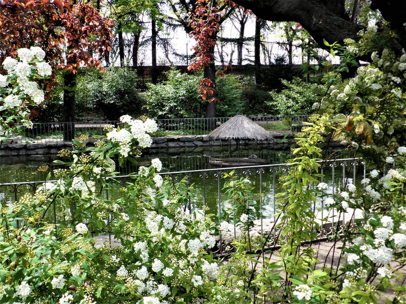 JARDINES CAMPO DEL MORO-29-4-2012-MADRID - Paseando por España-1991/2015-Parte-1 (15)