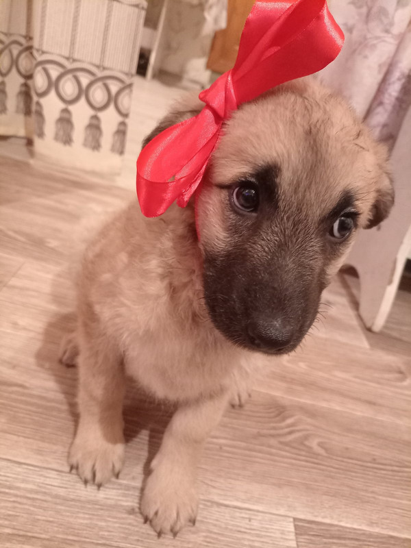 IMG-07a28f5e1c317317fbd80ea6ced85937-V