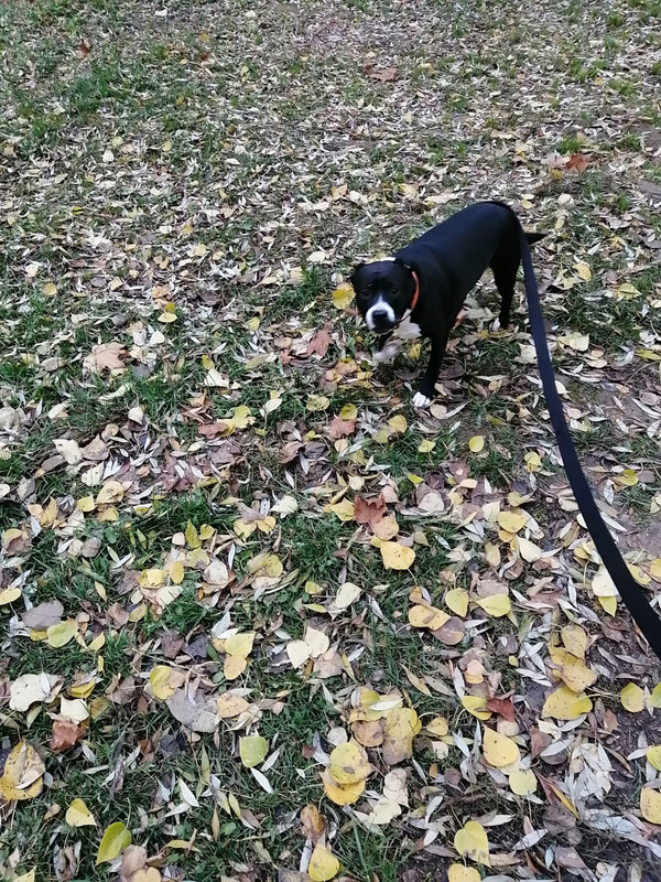 7E0A9EBD-A6B2-47A2-808E-6B7EF6DED460