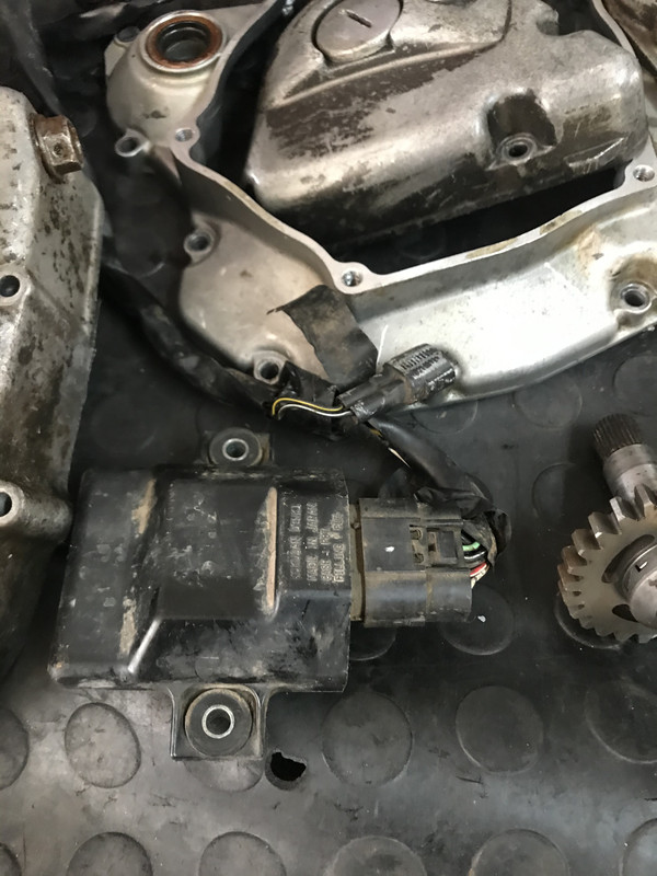 8B382019-E823-4C1C-9E3D-255D81093B11