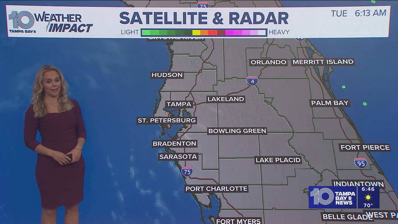 10 Tampa Bay News This Morning at 600 a m 20251125 11001200 ts snapshot 47 21 558