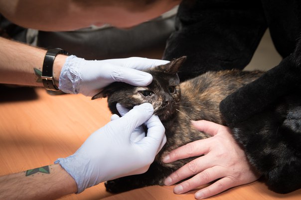 C47B70FD-01F2-48B9-B294-A660F22A8012