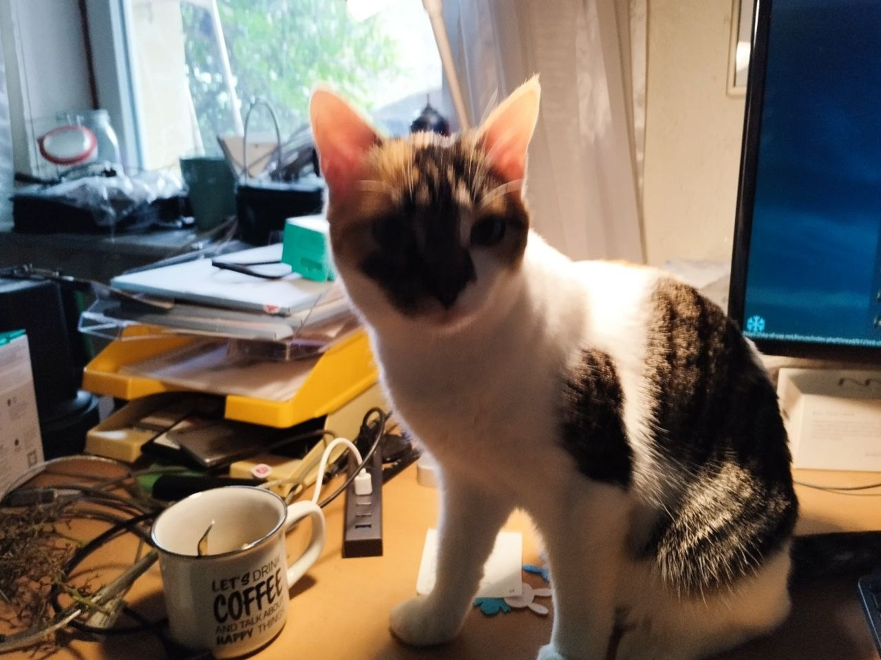 photo 2026 04 10 10 48 57