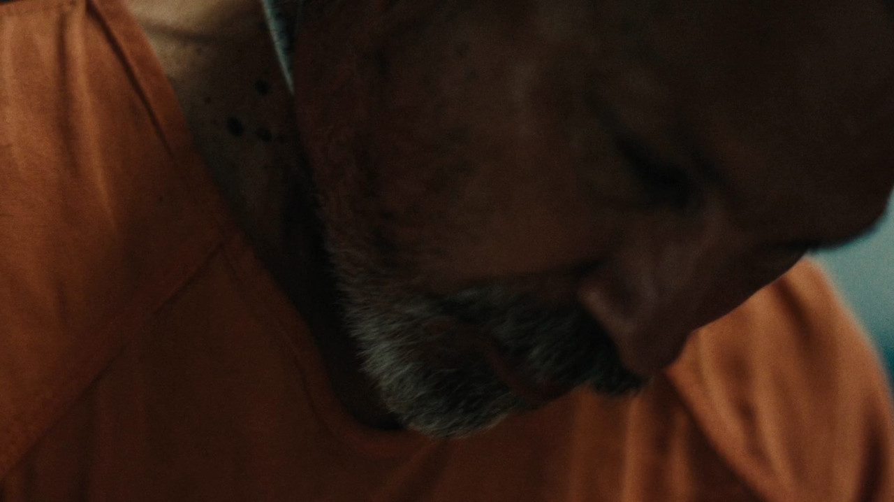 King Ivory 2024 Trial 5 1 WEBDL Latino mkv snapshot 00 23 45 049