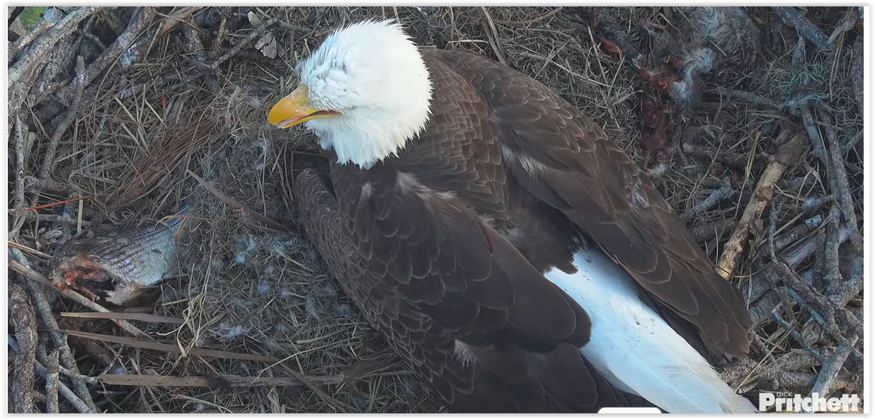 Screen Shot 12 22 25 at 09 04 AM