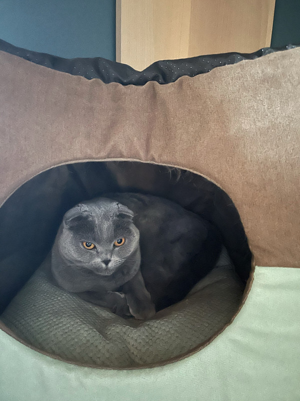 AE49356C-4C23-4041-AEFE-648F69B32707