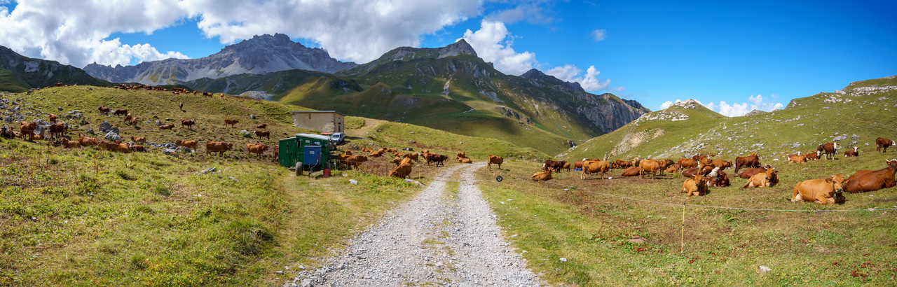https://i.postimg.cc/90pJCZLz/DSC03250-Panorama.jpg