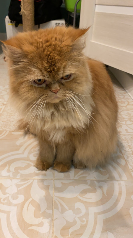 B3215FFE-4584-44B4-B57A-6CA402C28A50