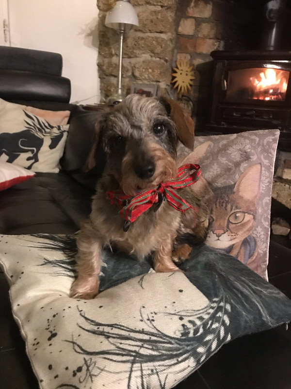 [Image: IMG-20251224-183115.jpg]