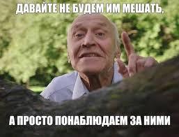 https://i.postimg.cc/90pTCkXT/IMG-4031.jpg