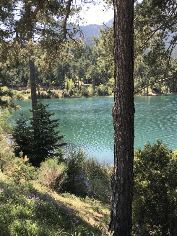 CF14D657-3CB1-475B-9746-9D52A73A649A