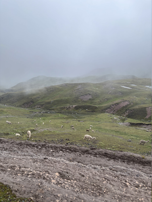 Día 8: Montaña de 7 Colores - 16 días recorriendo Perú por libre (6)