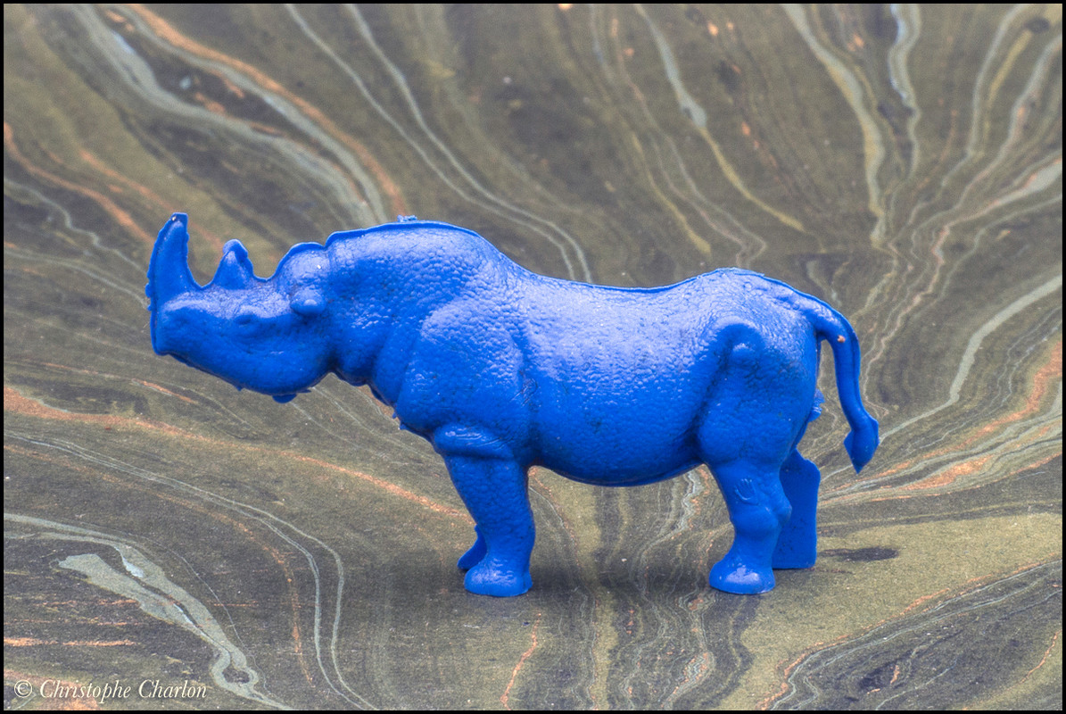 Back in CCCP: A blue savannah and other rubber animals CCCP-Black-rhino-3