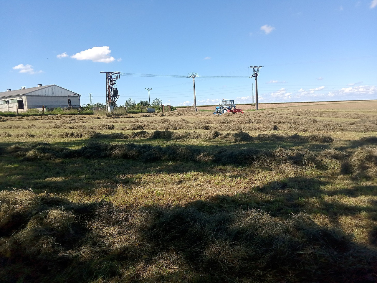 IMG 20250907 143540 MP (1)