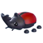 Rhino Beetle