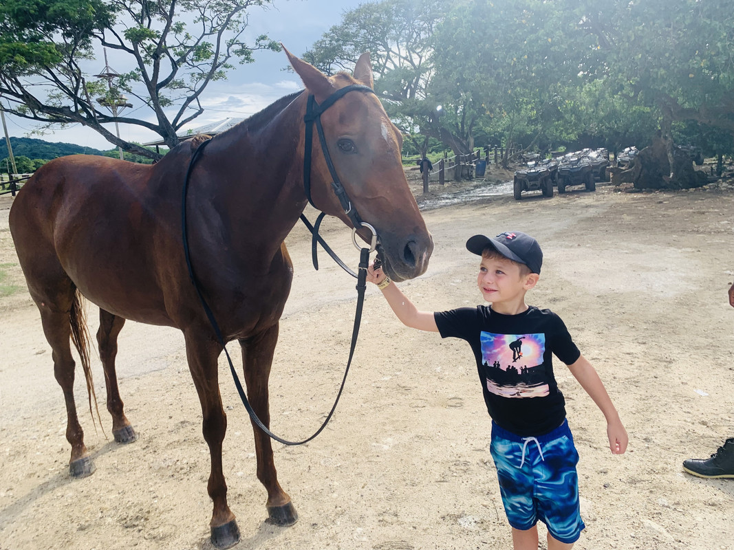 39A2443A-CDEE-4E67-86D7-B7B45E7EB318