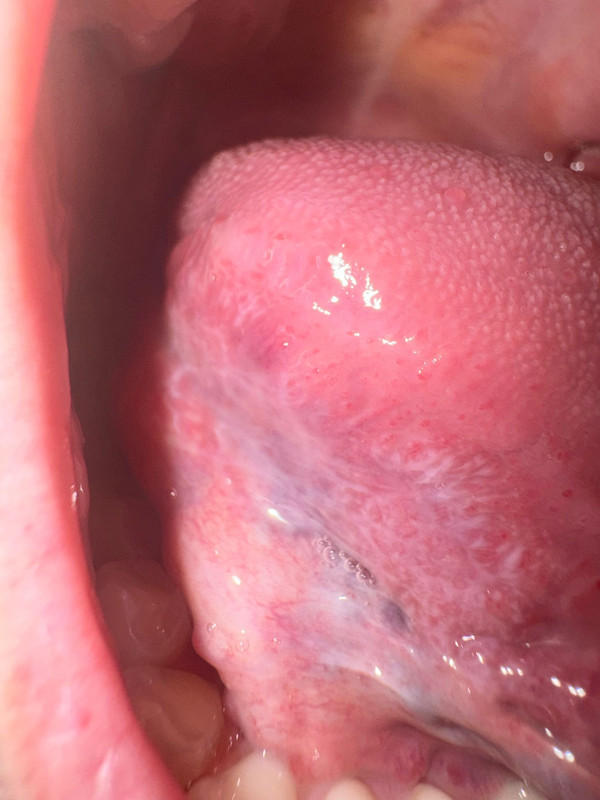 WhatsApp Image 2024-04-15 at 6.19.31 PM