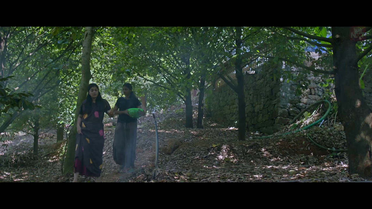 vlcsnap 2026 02 11 15h43m38s886