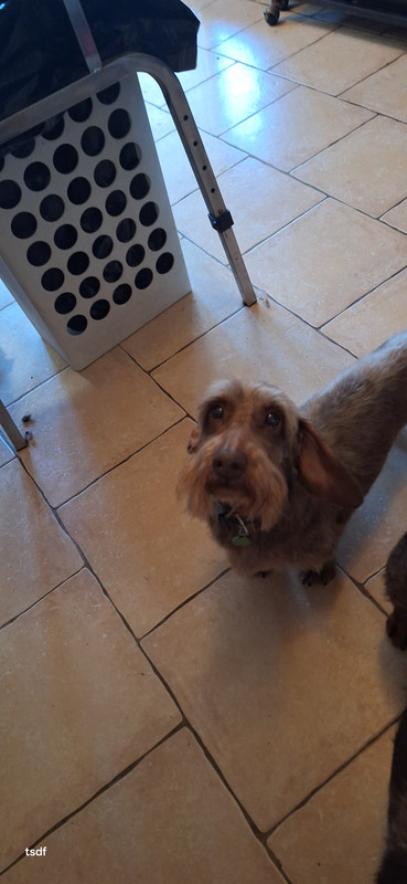 [Image: 20250305-121515.jpg]