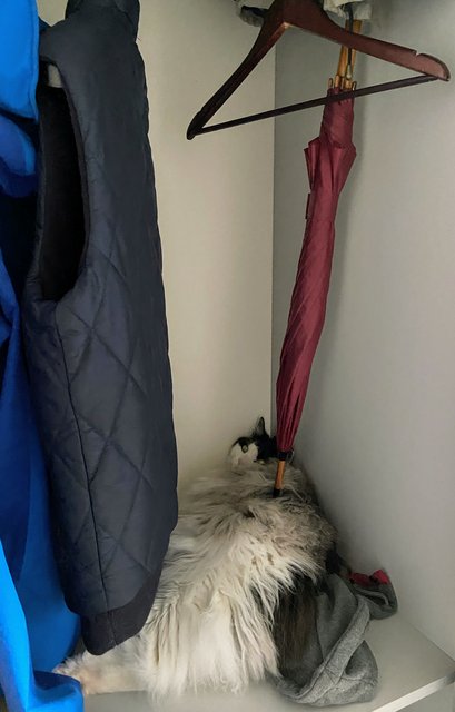 0-E12-A9-B0-3-AE4-4946-ABC5-9933-D5-E01-