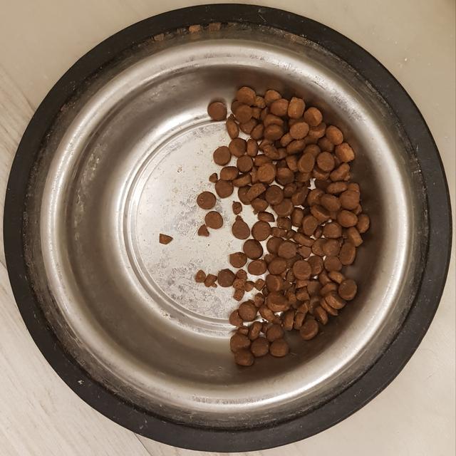 20190223-085048.jpg