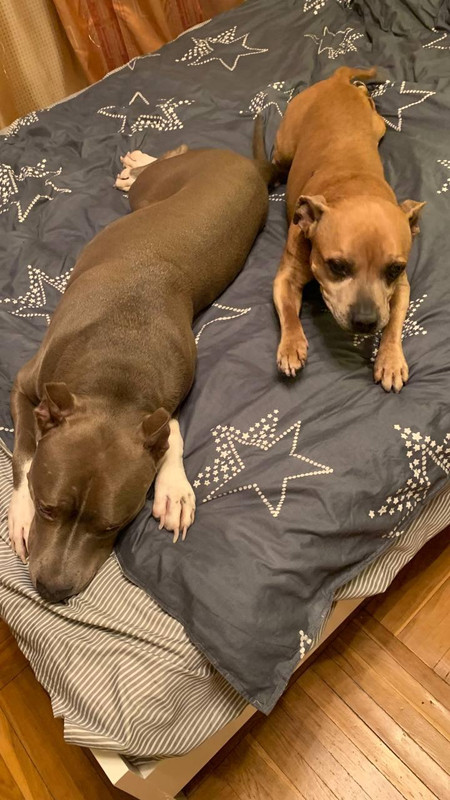 FD71E710-11C4-4E89-BA68-6EEAF66E4EC1