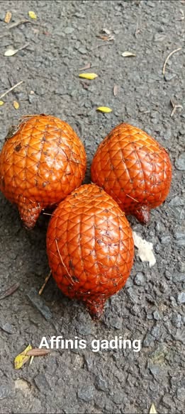 594551065 2151641135368519 8641074974722723656 n