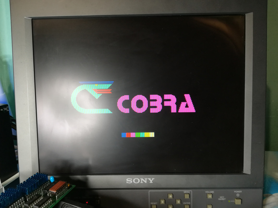 cobra-287.jpg