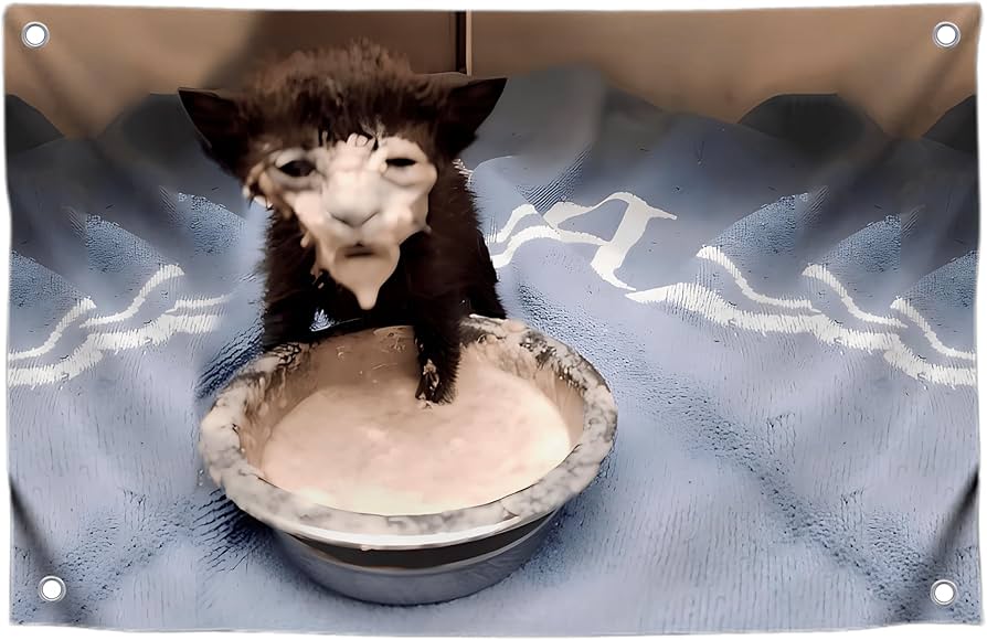 712t QUrus KL AC UF894 1000 QL80