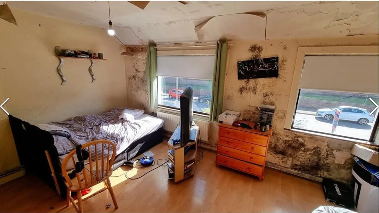 3 f4e2f7a1-66f0-4651-8513-f7e575da6063_l