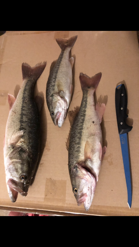 13AF0F22-D73A-480A-A7D5-6B39E907C065