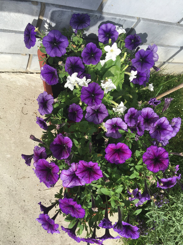 B86A7BD8-3611-4366-B5D1-4AEA858DEA05