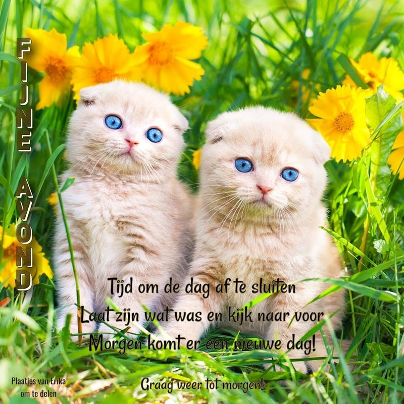 HTML leren