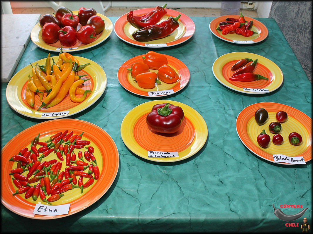 [Bild: Ernte-13092025.jpg]