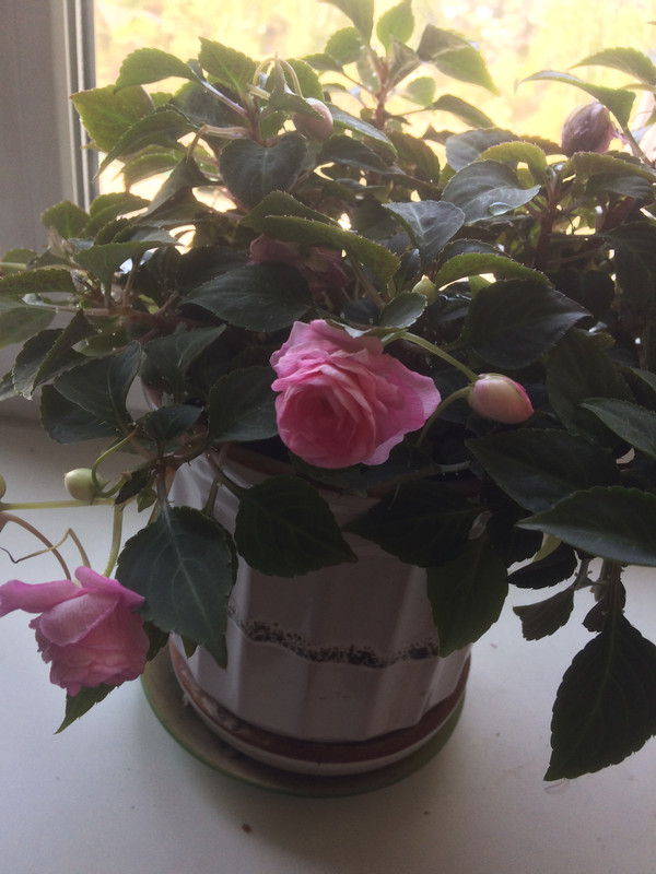 8E1E836C-BCD5-4E0C-B035-F763F2545E27