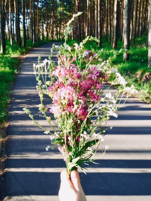 3648197A-5FEB-4F5A-92C7-6485DAE2F483