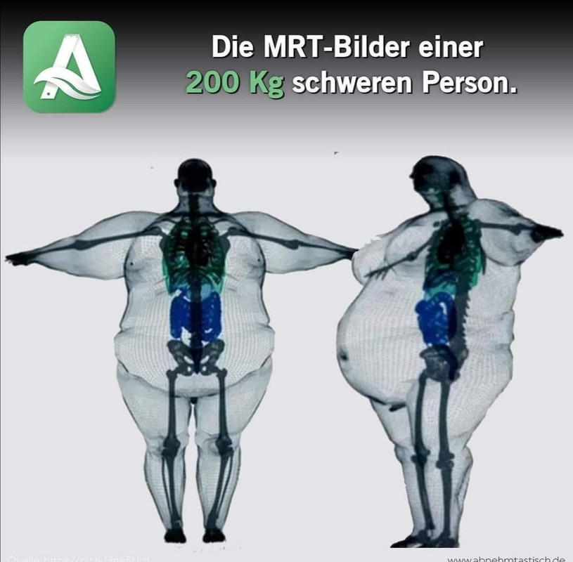 fett.jpg